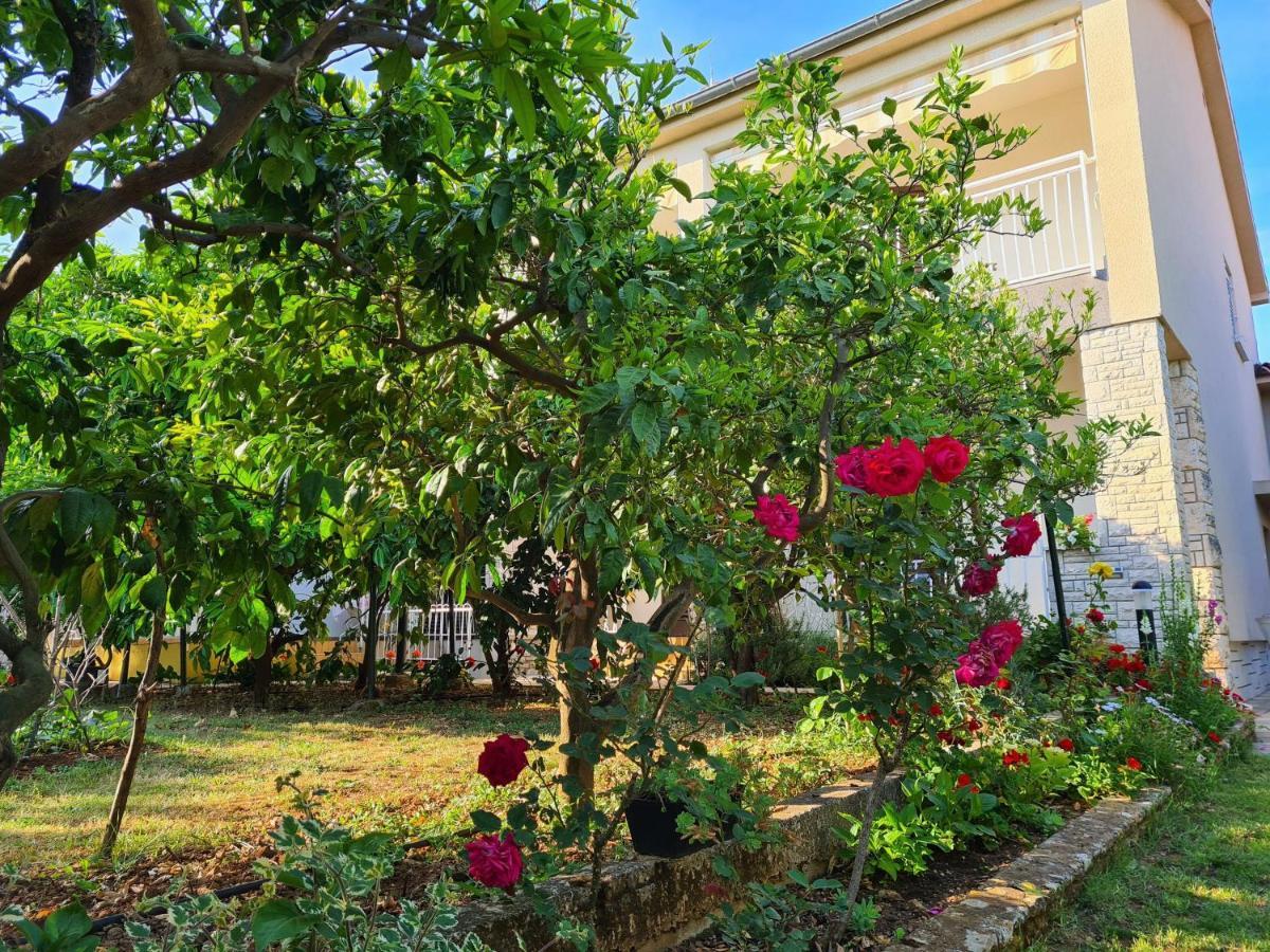 מדולין Apartments Ana מראה חיצוני תמונה