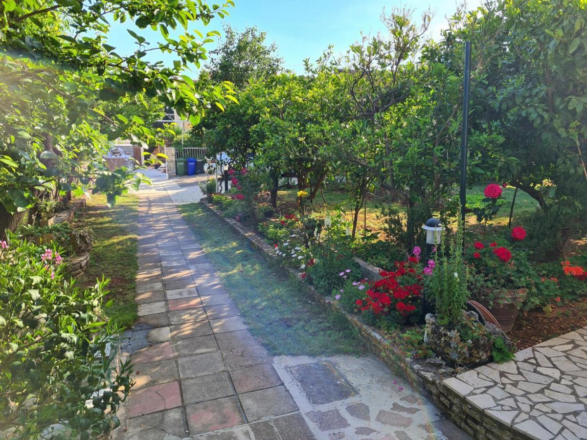 מדולין Apartments Ana מראה חיצוני תמונה